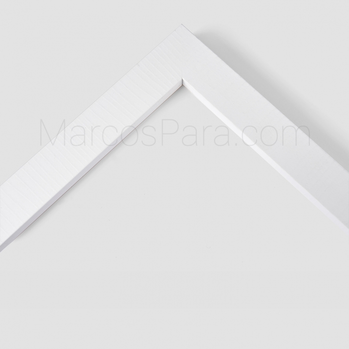 Marcos a medida para Fotografia M517 Marcos a medida para Fotografia M517