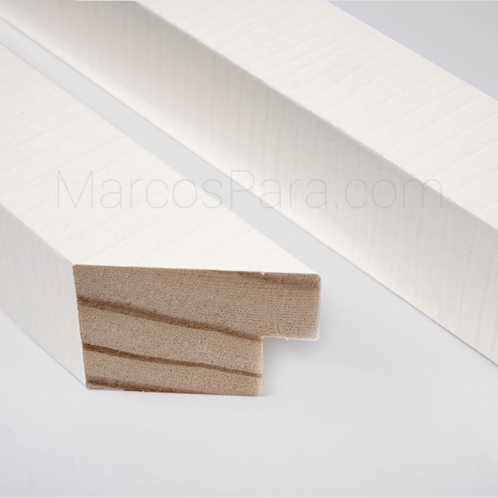 Marcos a medida para Fotografia M517 Marcos a medida para Fotografia M517