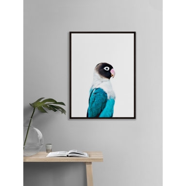 Lámina Pájaro Tropical 2