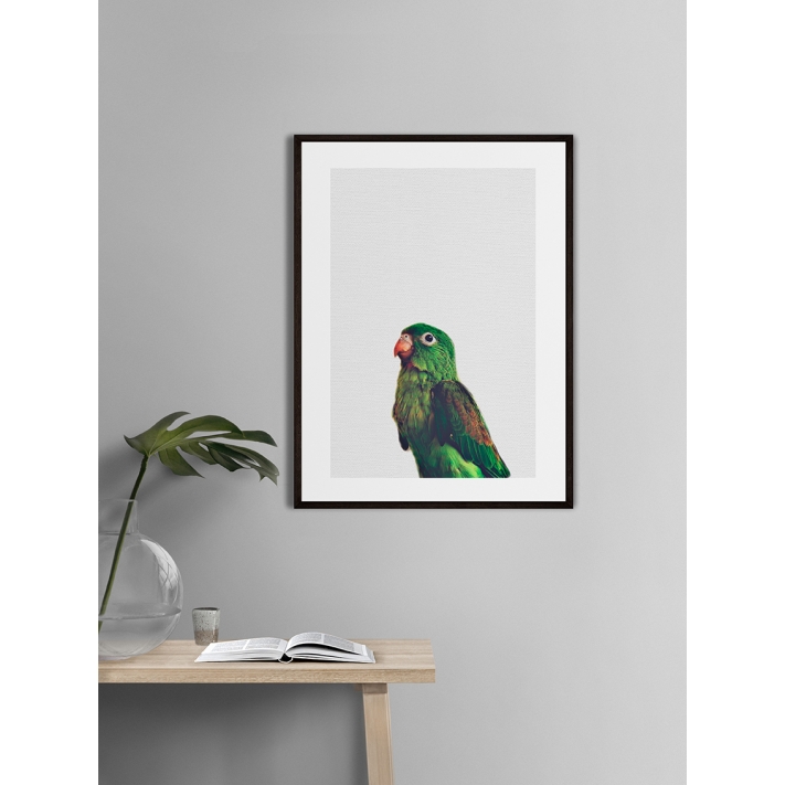 Lámina Pájaro Verde Lámina Pájaro Verde