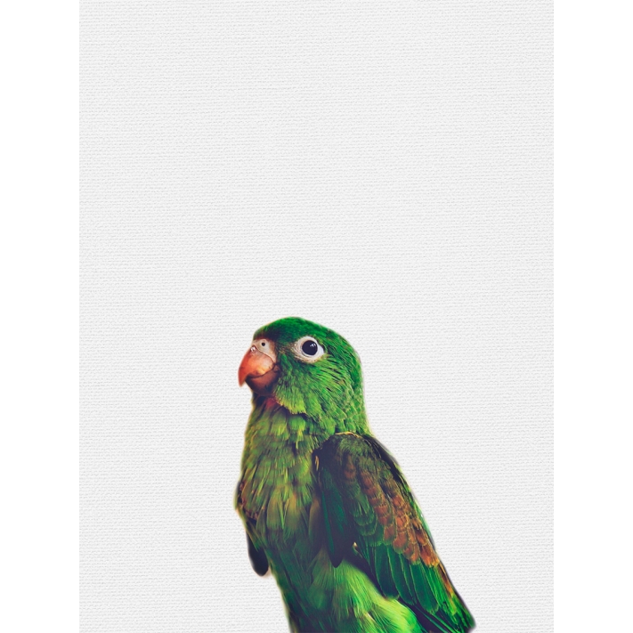 Lámina Pájaro Verde