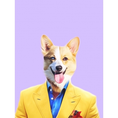 Lámina Perro Chaqueta