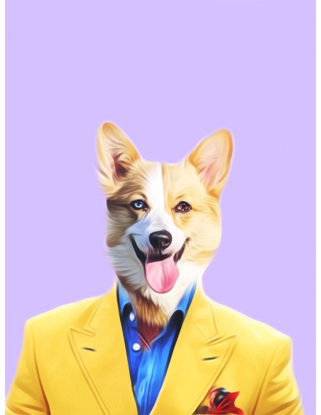 Lámina Perro Chaqueta