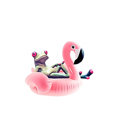 Lámina Rana en Flotador