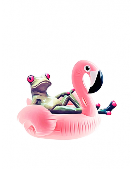 Lámina Rana en Flotador