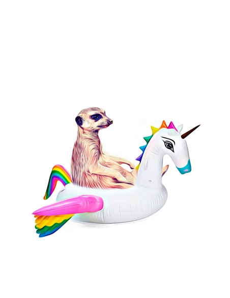 Lámina Suricato en Flotador