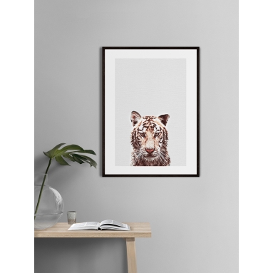 Lámina Tigre 2
