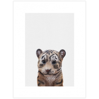 Lámina Tigre bebé 2