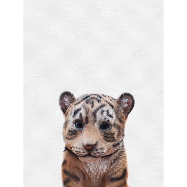 Lámina Tigre bebé