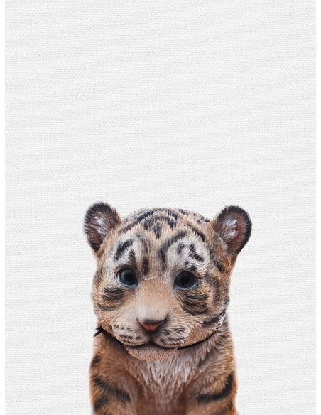Lámina Tigre bebé