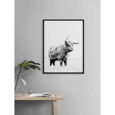 Lámina Bisonte 2