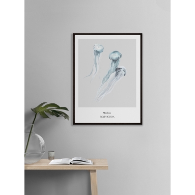 Lámina Medusa 2