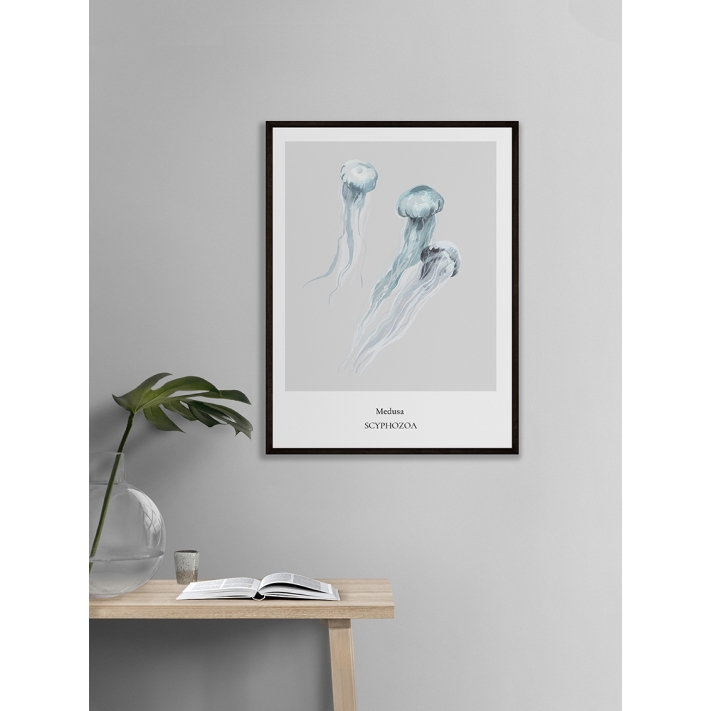 Lámina Medusa
