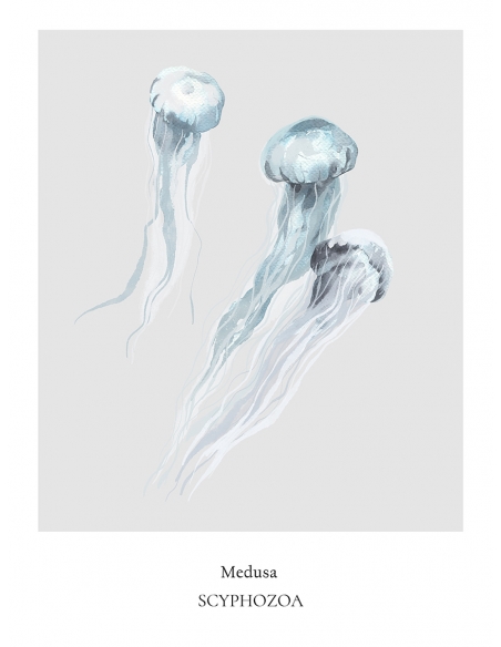 Lámina Medusa