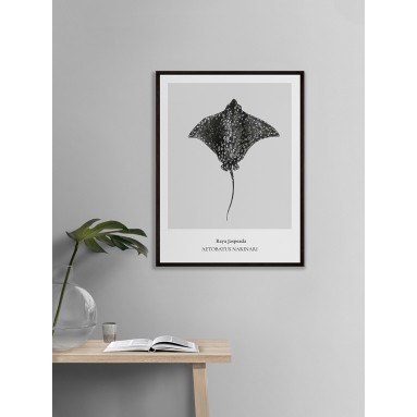 Lámina Raya Jaspeada 2