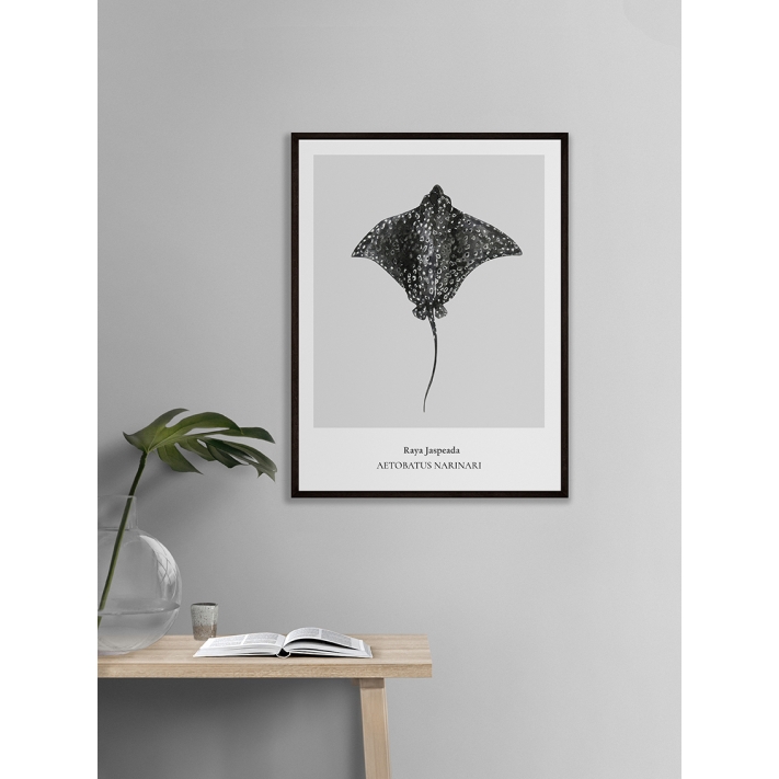 Lámina Raya Jaspeada