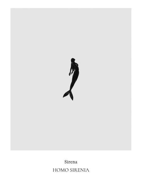Lámina Sirena Lámina Sirena