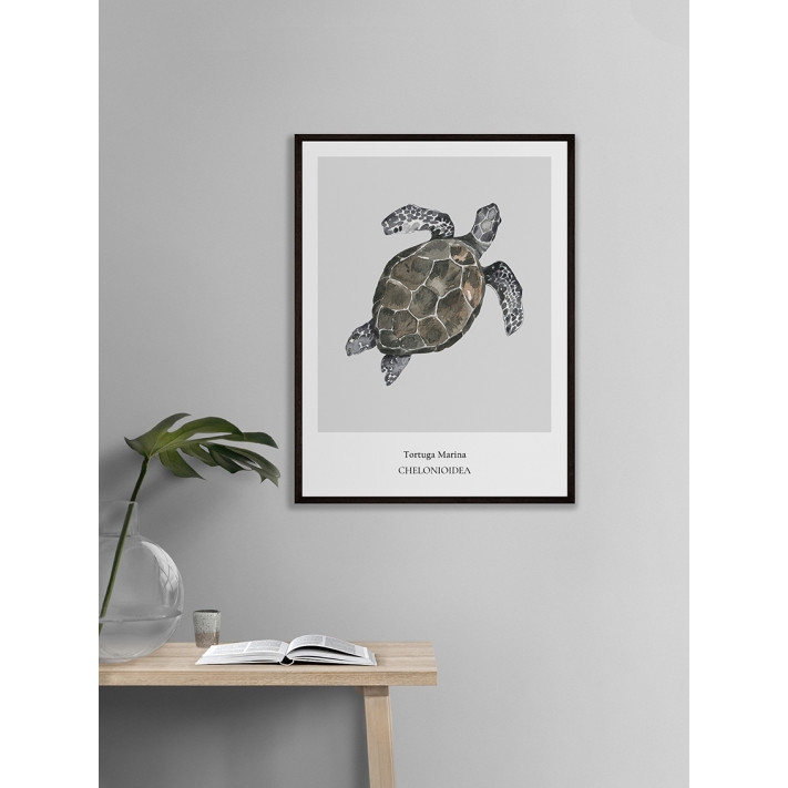 Lámina Tortuga Marina