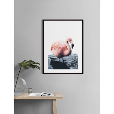 Lámina Flamenco 2 2