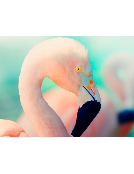 Lámina Flamenco 3 Lámina Flamenco 3