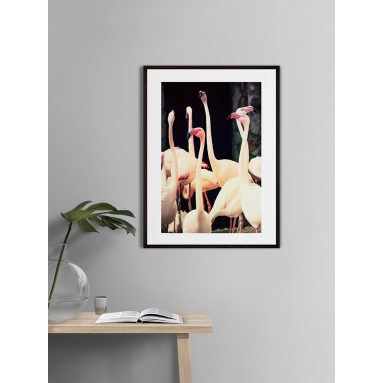 Lámina Flamenco 4 2