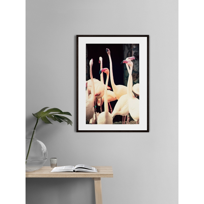 Lámina Flamenco 4 Lámina Flamenco 4