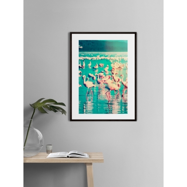 Lámina Flamenco 5 2