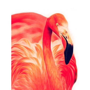 Lámina Flamenco 6