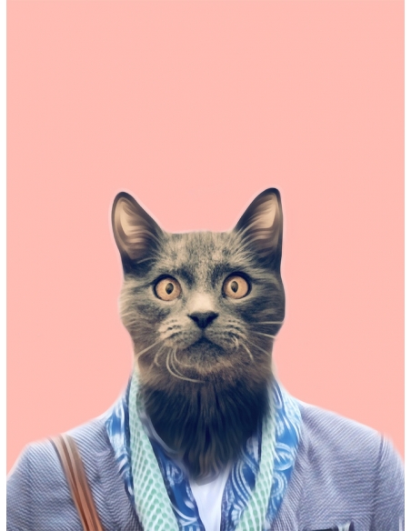 Lámina Gato Lámina Gato